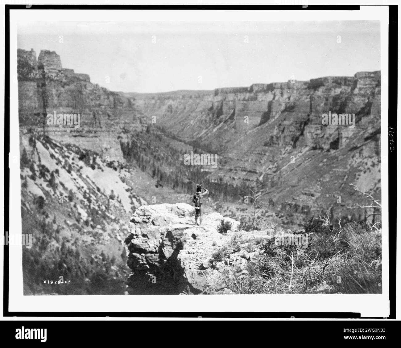 Noir CAñactivé, c1905. Vue arrière de Crow Indian, debout, surplombant CAñon. Banque D'Images Noir CAñactivé, c1905. Vue arrière de Crow Indian, debout, surplombant CAñon. Banque D'Images