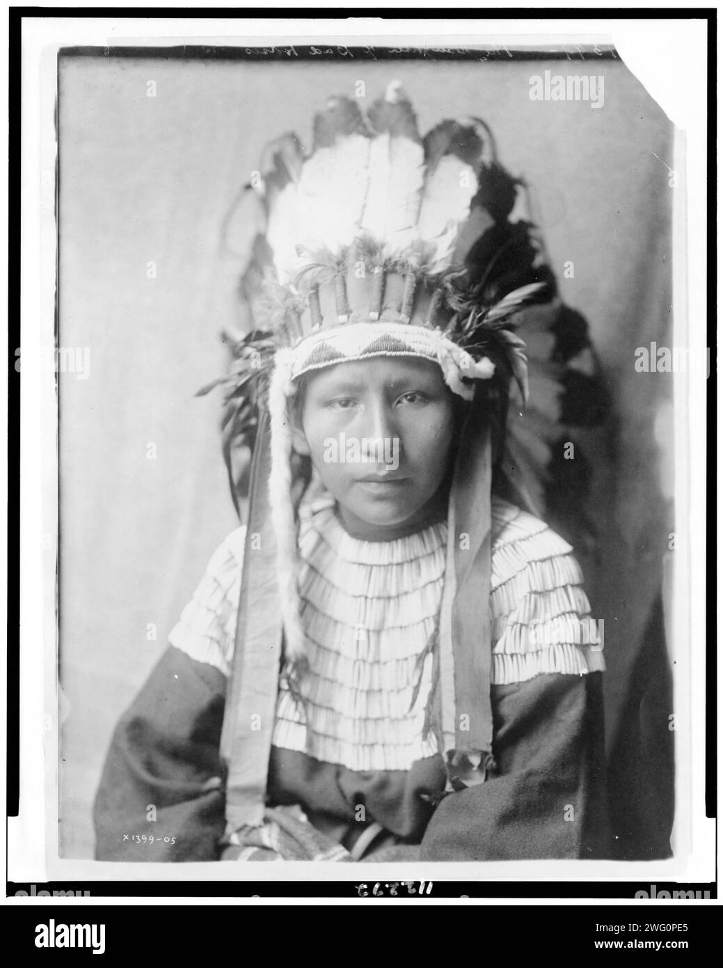 La fille de Bad Horses, c1905. Portrait tête et épaules d'une fille Cheyenne en coiffe de plumes. Banque D'Images