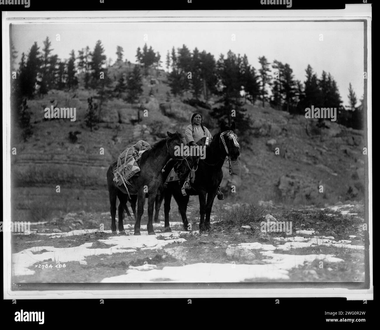 Paquet cheval [c.-à-d. paquet cheval]-Apsaroke, c1908. Femme Apsaroke à cheval, packhorse à côté d'elle. Banque D'Images