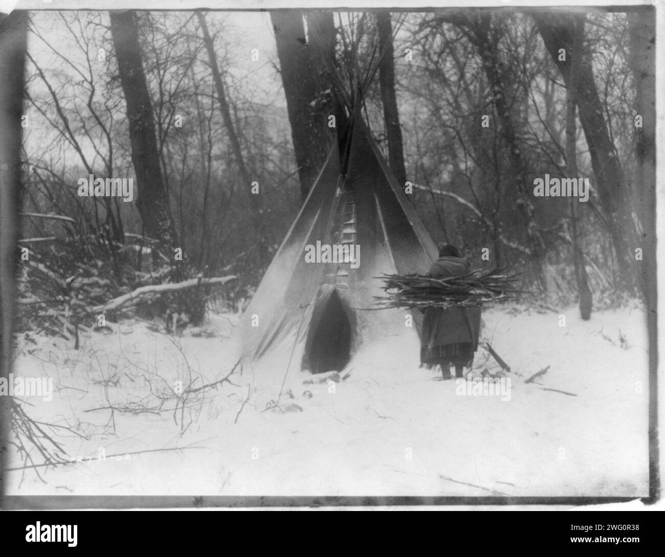 Winter-Apsaroke, c1908. Femme Apsaroke transportant du bois de chauffage dans la neige, approchant un tipi. Banque D'Images