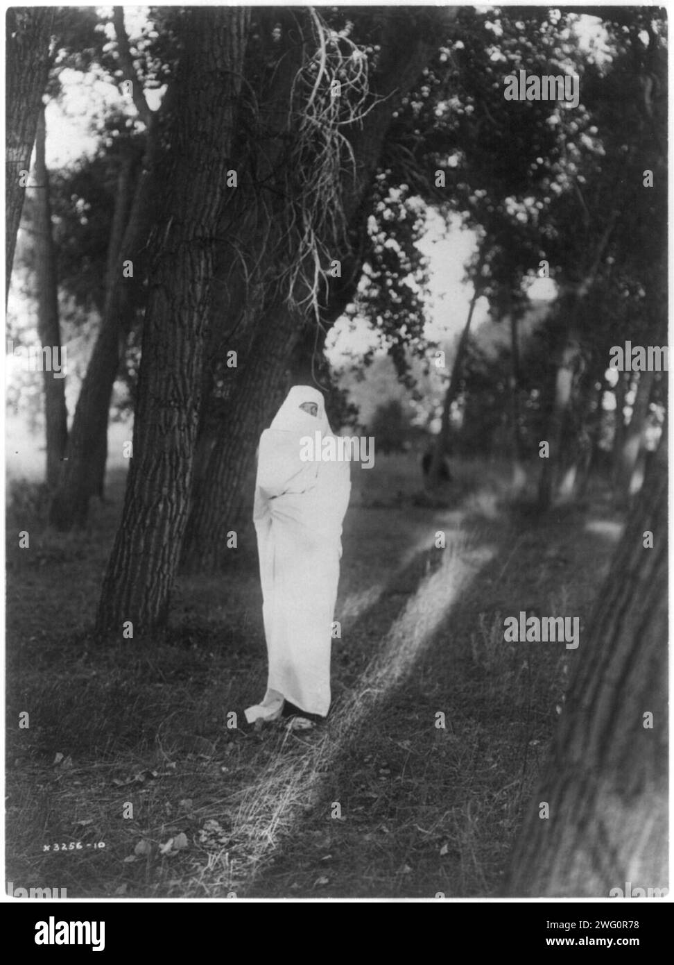 Attente dans la forêt-Cheyenne, c1910. L'homme Cheyenne, debout dans la forêt, est couvert d'une couverture blanche à l'exception des yeux et du nez, espérant rencontrer sa petite amie. Banque D'Images