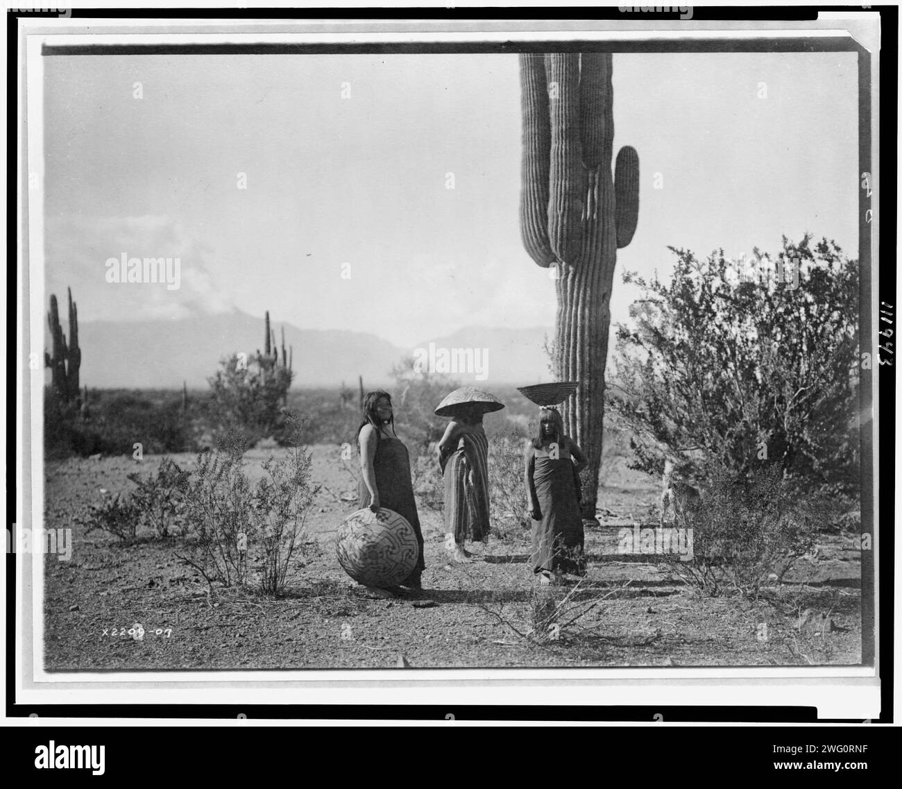 Saguaro fruit Gatherers-Maricopa, c1907. Trois femmes, dont deux avec des paniers sur la tête, debout près de l'usine de cactus, Arizona. Banque D'Images