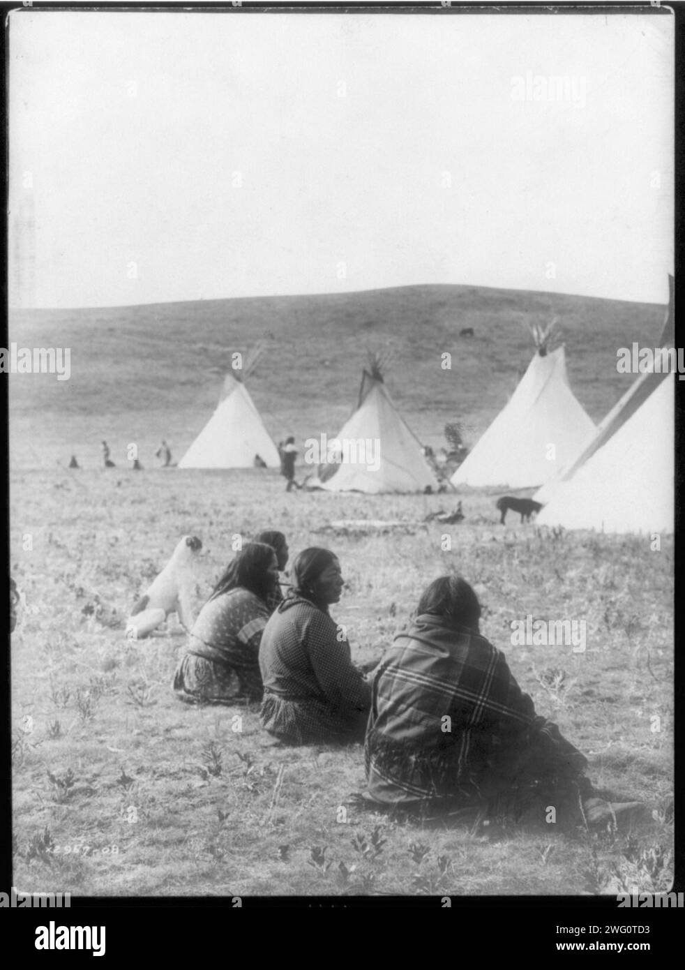 Camp Gossips-Atsina, c1908. Quatre femmes Atsina et un chien, leur dos à la caméra, assis à une certaine distance de tipis et d'autres. Banque D'Images