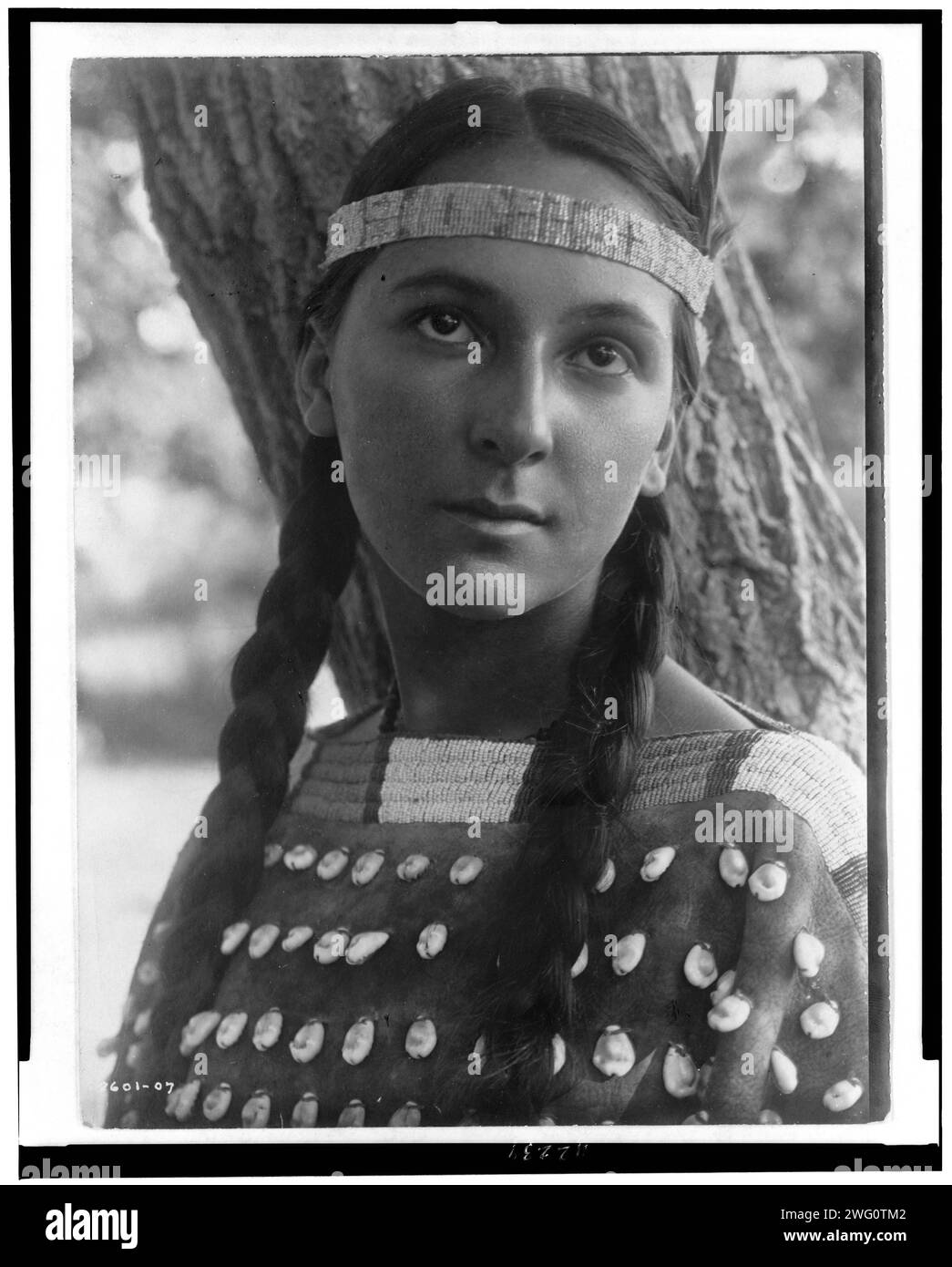 Lucille, c1907. Portrait tête et épaules d'une femme Dakota debout devant un arbre. Banque D'Images