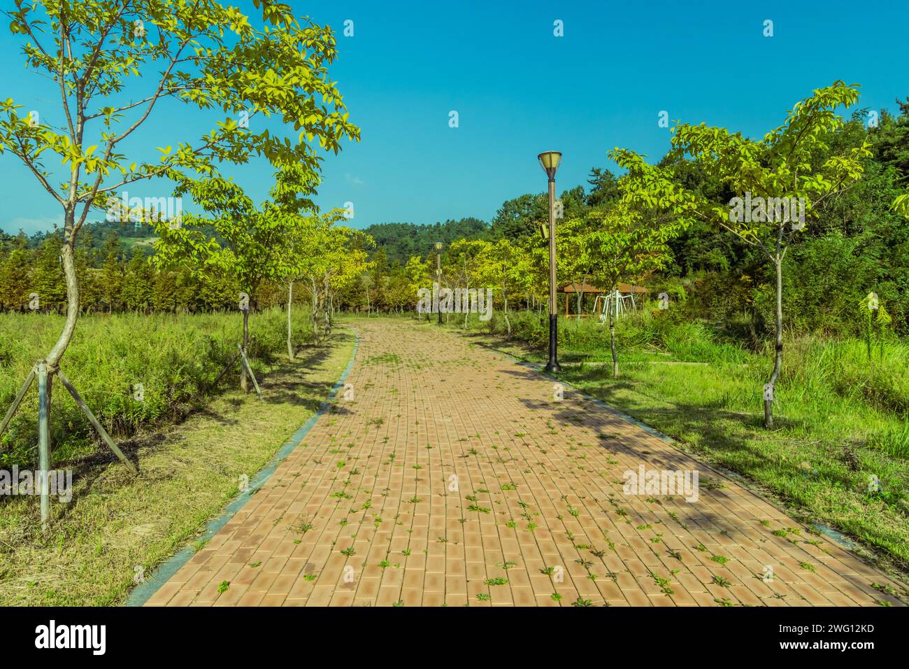 Passerelle en briques rouges menant au parc de montagne boisé avec un ciel bleu en arrière-plan Banque D'Images