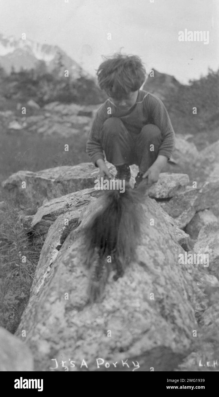 Enfant et porc-épic, entre c1900 et c1930. Banque D'Images