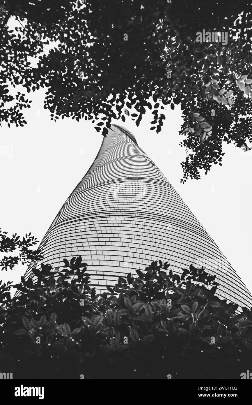 Gratte-ciel tordu avec des feuilles à Shanghai, Chine (Shanghai Tower) Banque D'Images
