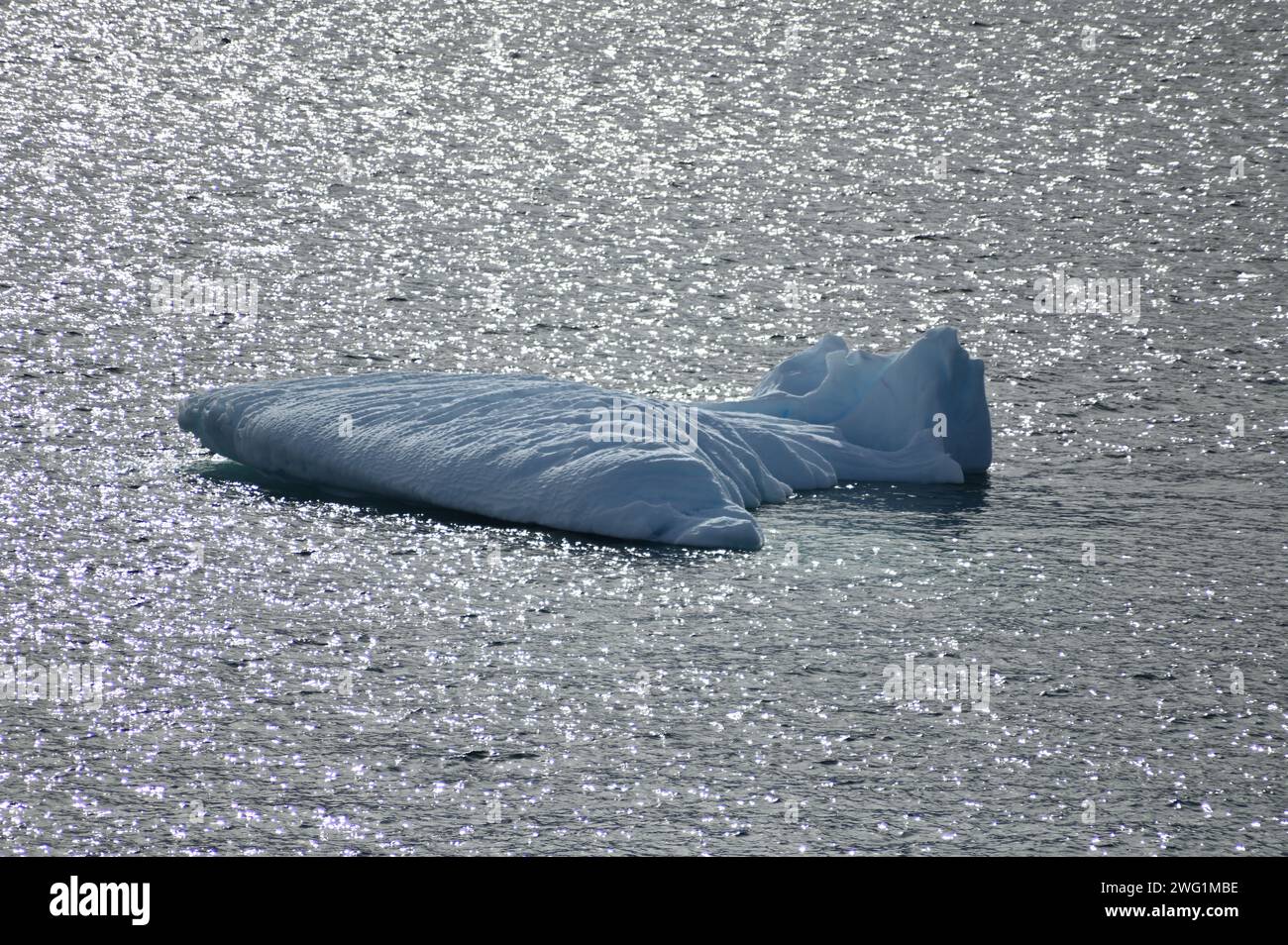 Un iceberg flottant près de l'île Petermann, péninsule Antarctique Banque D'Images