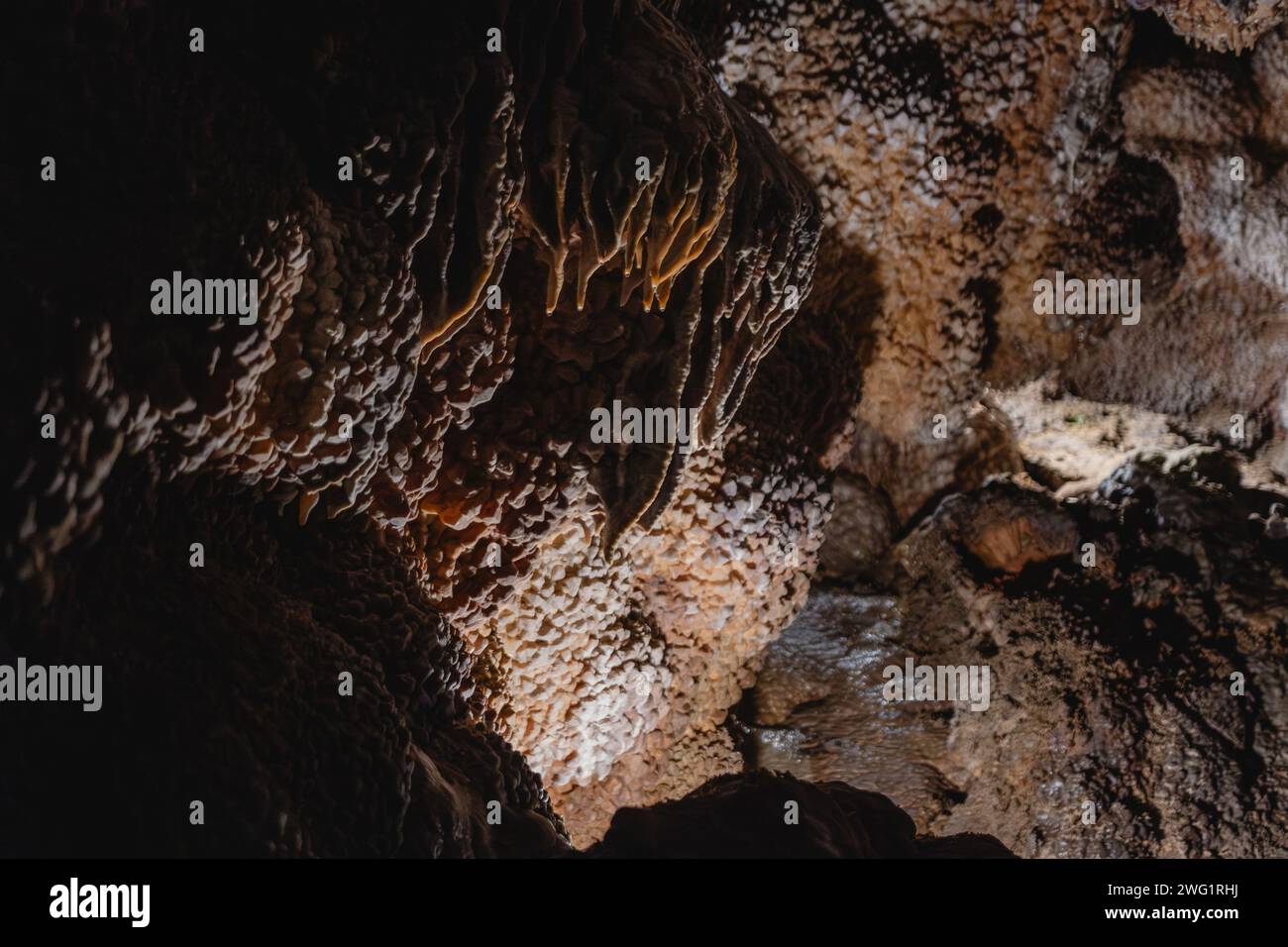 Des formations de calcite uniques dans le monument national Jewel Cave, appelées « longeron à tête de clous », recouvrent la grotte dans une texture semblable à un bijou Banque D'Images