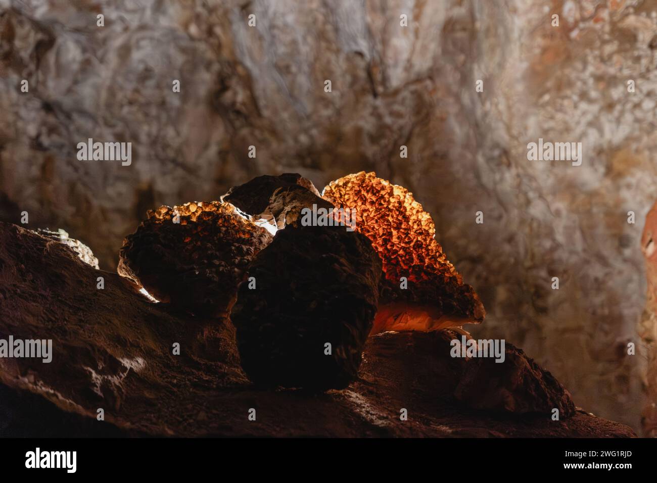 Des formations de calcite uniques dans le monument national Jewel Cave, appelées « longeron à tête de clous », recouvrent la grotte dans une texture semblable à un bijou Banque D'Images