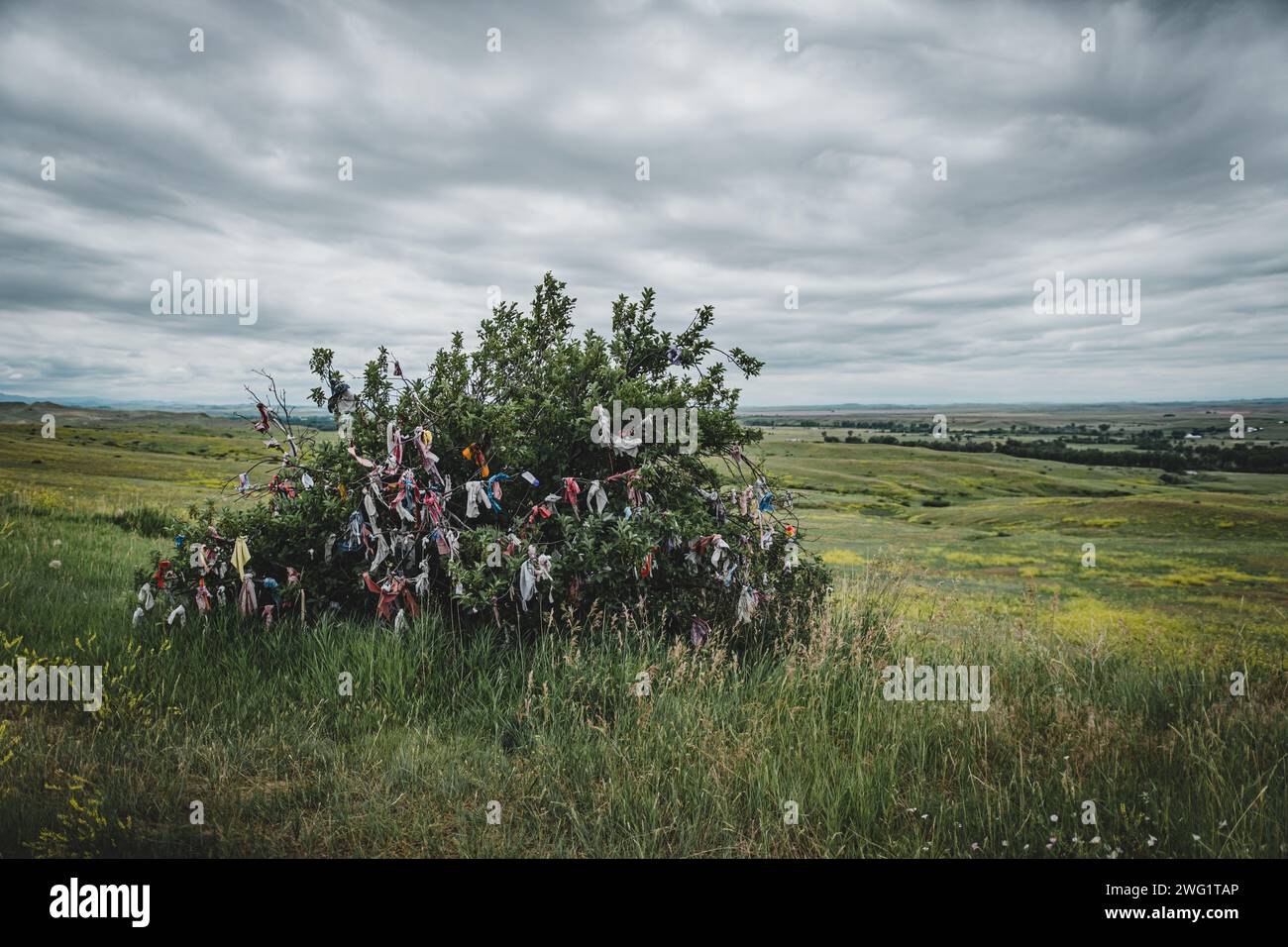 Draps de prière amérindiens attachés à un arbre sur le champ de bataille de Little Bighorn Banque D'Images