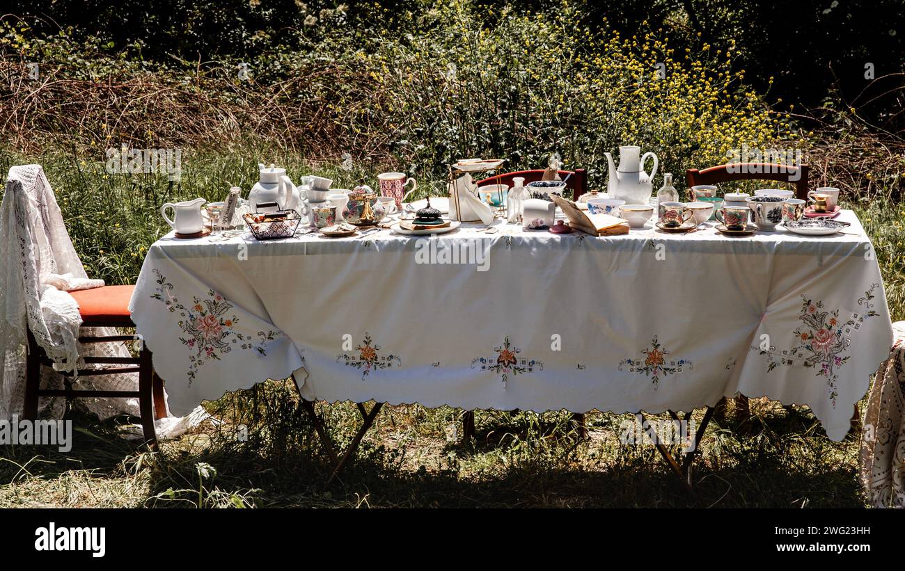 « Plongez dans le charme rustique d'une soirée thé en plein air, avec un assortiment de teaware vintage et une toile de fond de fleurs sauvages. » Banque D'Images