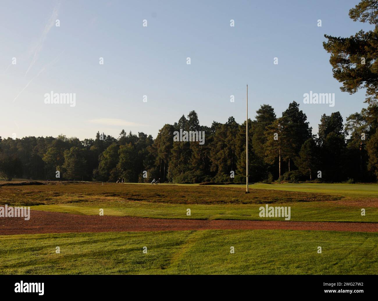 Vue du 1st Tee over Heather au 18th Fairway, West Hill Golf Club, Woking, Surrey, Angleterre. Banque D'Images