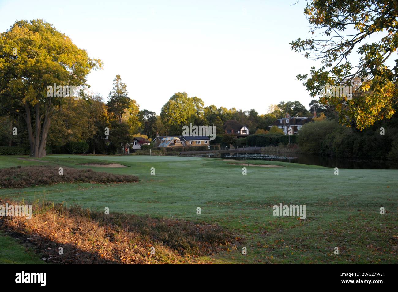 Vue tôt le matin sur la bruyère au 18th Green et étang, Woking Golf Club ; Woking ; Surrey ; Angleterre. Banque D'Images