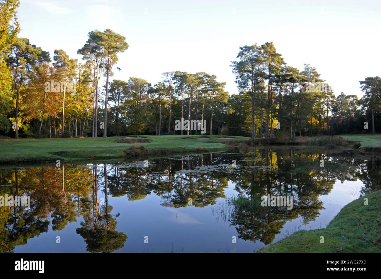 Vue tôt le matin sur l'étang à 16th Green, Woking Golf Club ; Woking ; Surrey ; Angleterre. Banque D'Images