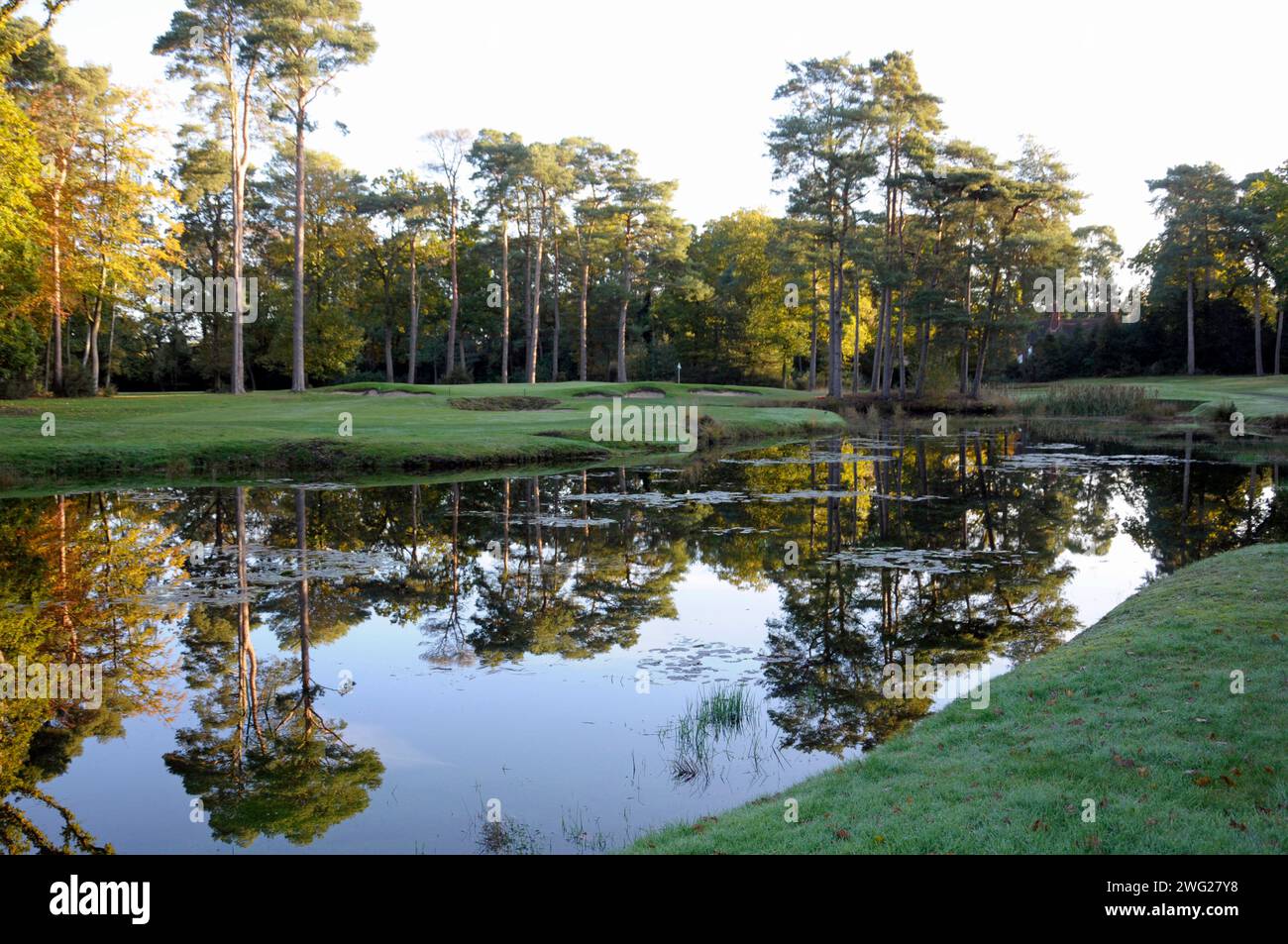 Vue tôt le matin sur l'étang à 16th Green, Woking Golf Club ; Woking ; Surrey ; Angleterre. Banque D'Images