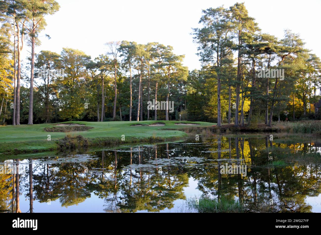 Vue tôt le matin sur l'étang à 16th Green, Woking Golf Club ; Woking ; Surrey ; Angleterre. Banque D'Images