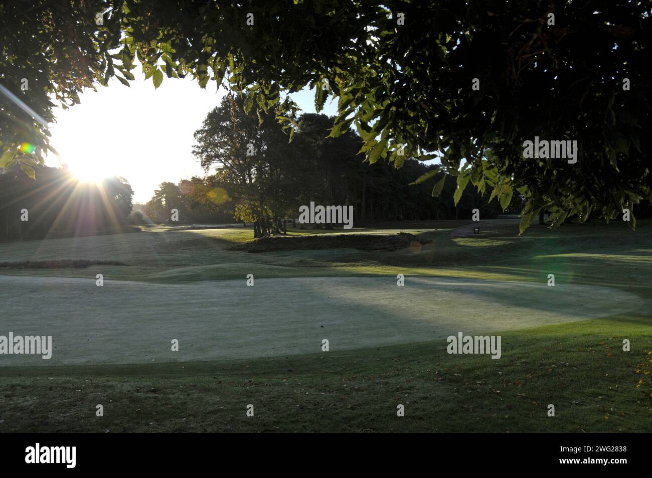 Tôt le matin du Clubhouse sur 14th Green à 18th Fairway, Woking Golf Club ; Woking ; Surrey ; Angleterre. Banque D'Images