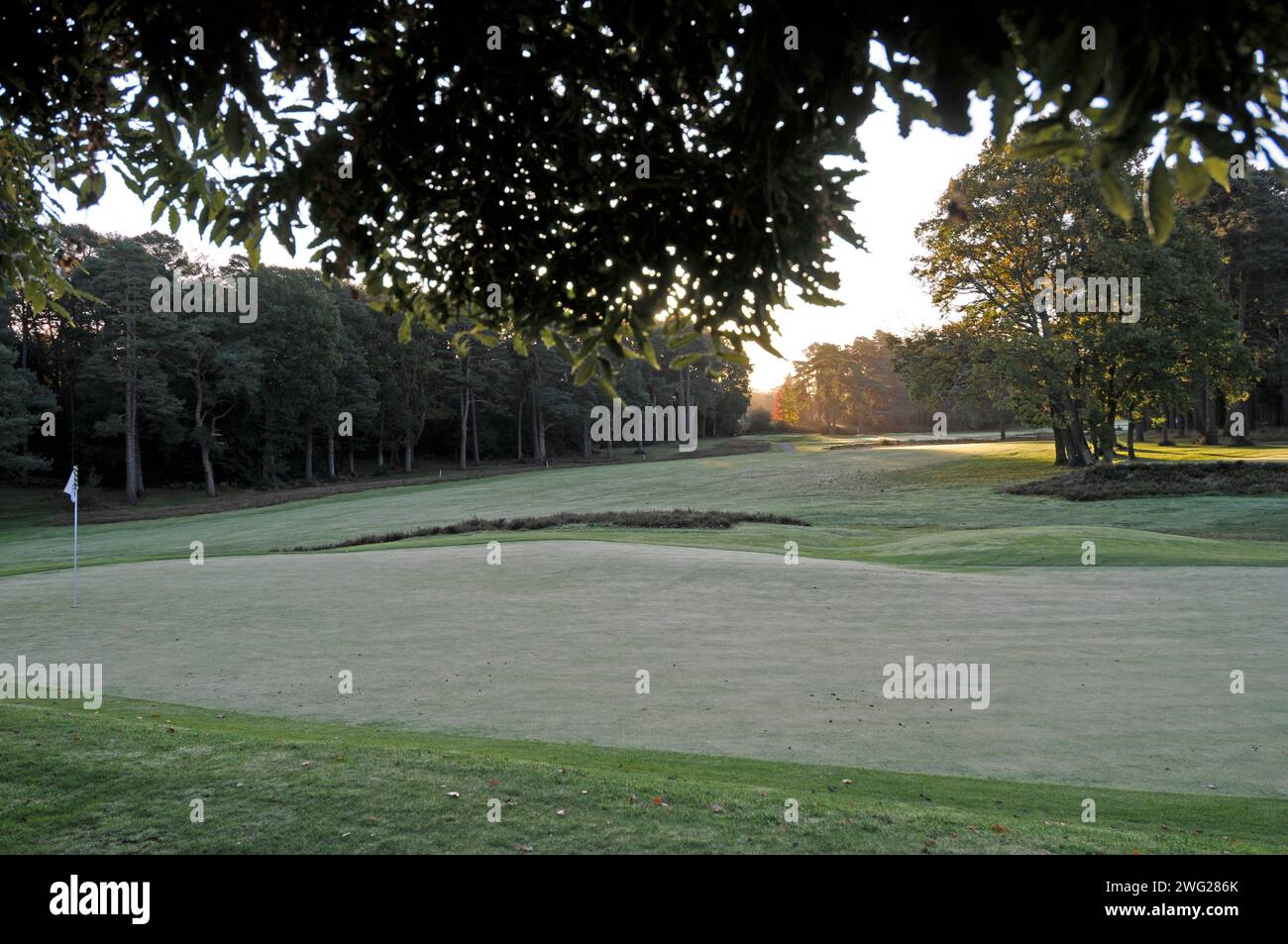 Tôt le matin du Clubhouse sur 14th Green à 18th Fairway, Woking Golf Club ; Woking ; Surrey ; Angleterre. Banque D'Images