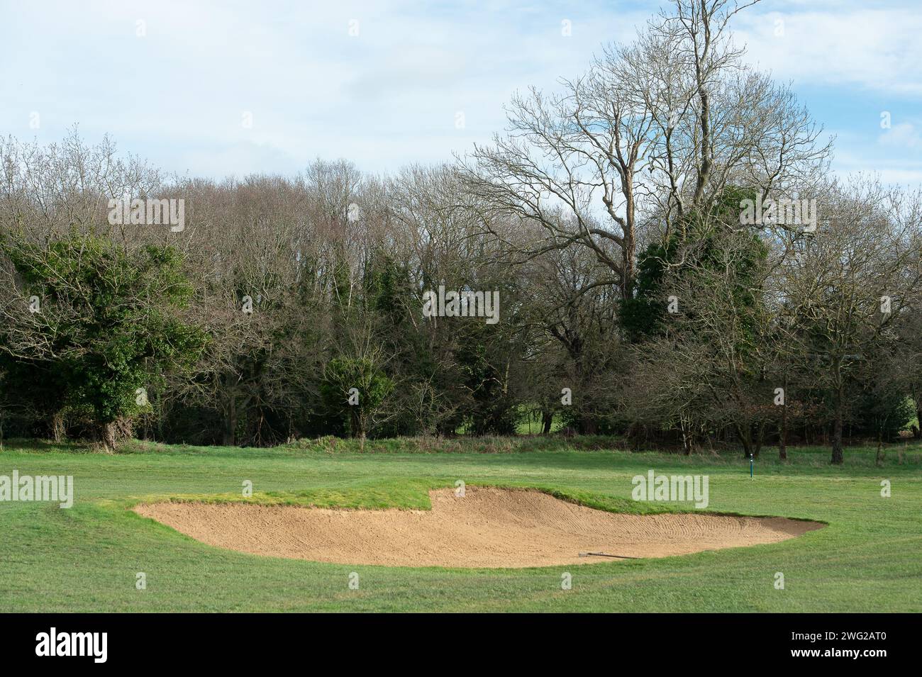 Maidenhead, Royaume-Uni. 2 février 2024. Cala Homes a soumis une demande de planification sommaire pour construire 1 500 maisons sur le Maidenhead Golf Club (photo) dans le Berkshire. Le projet de construction appelé «Elizabeth Quarter» est une coentreprise (JV) avec Cala Homes et RBWM Property Company Ltd, qui est entièrement détenue par le conseil d'arrondissement. Les militants locaux disent que la JV est un énorme conflit d'intérêts. Les travaux de construction entraîneraient une destruction environnementale importante et seraient catastrophiques pour la faune du site. Des milliers d'arbres risquent d'être abattus et le site comprend une zone Banque D'Images