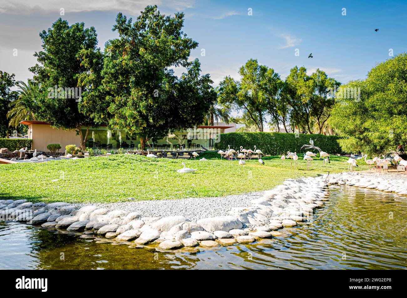 Vue naturelle au parc Al Areen, Bahreïn Banque D'Images