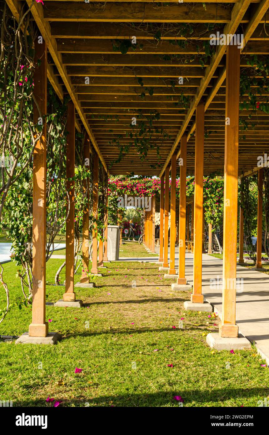 Photographie de motifs au parc sauvage Al Areen, Bahreïn Banque D'Images