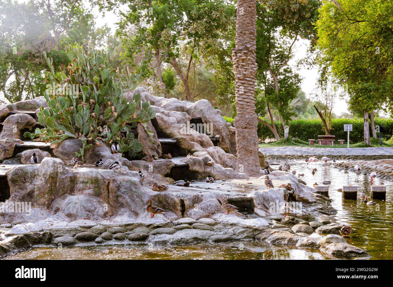Al Areen Wild Life Park, Bahreïn Banque D'Images
