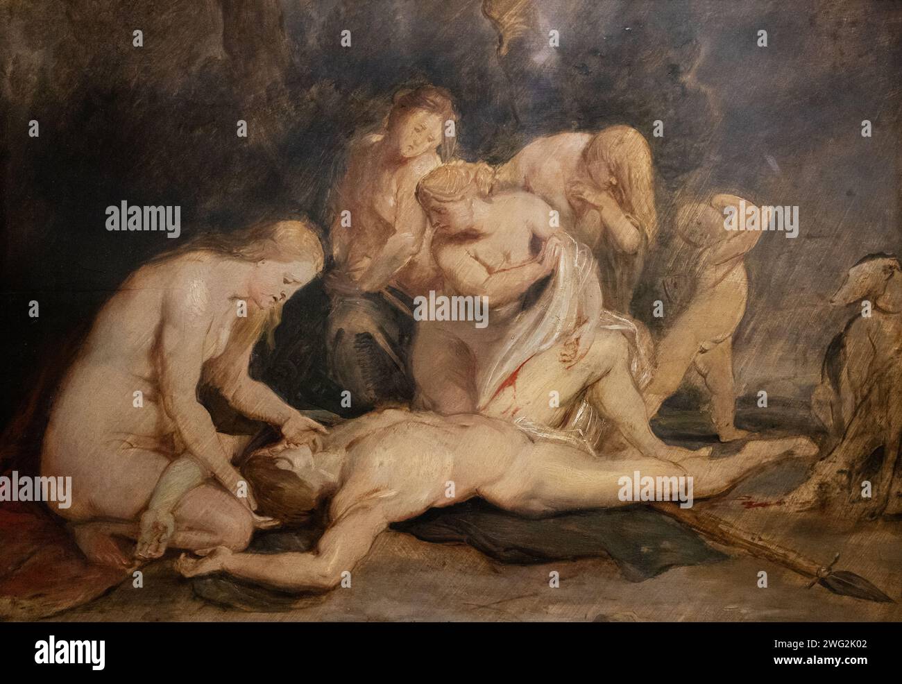 Peinture de Peter Paul Rubens, 'venus en deuil Adonis', 1613 ; huile sur panneau, Vénus berçant Adonis, blessé en chassant. mythologie du xviie siècle. Banque D'Images