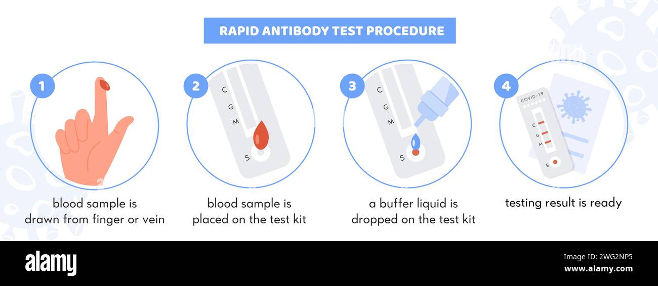 Infographie de la procédure de test rapide des anticorps Covid-19. Kit de test avec échantillon de sang patient. Tampon liquide sur bandelette de test. Certificat coronavirus avec P Illustration de Vecteur