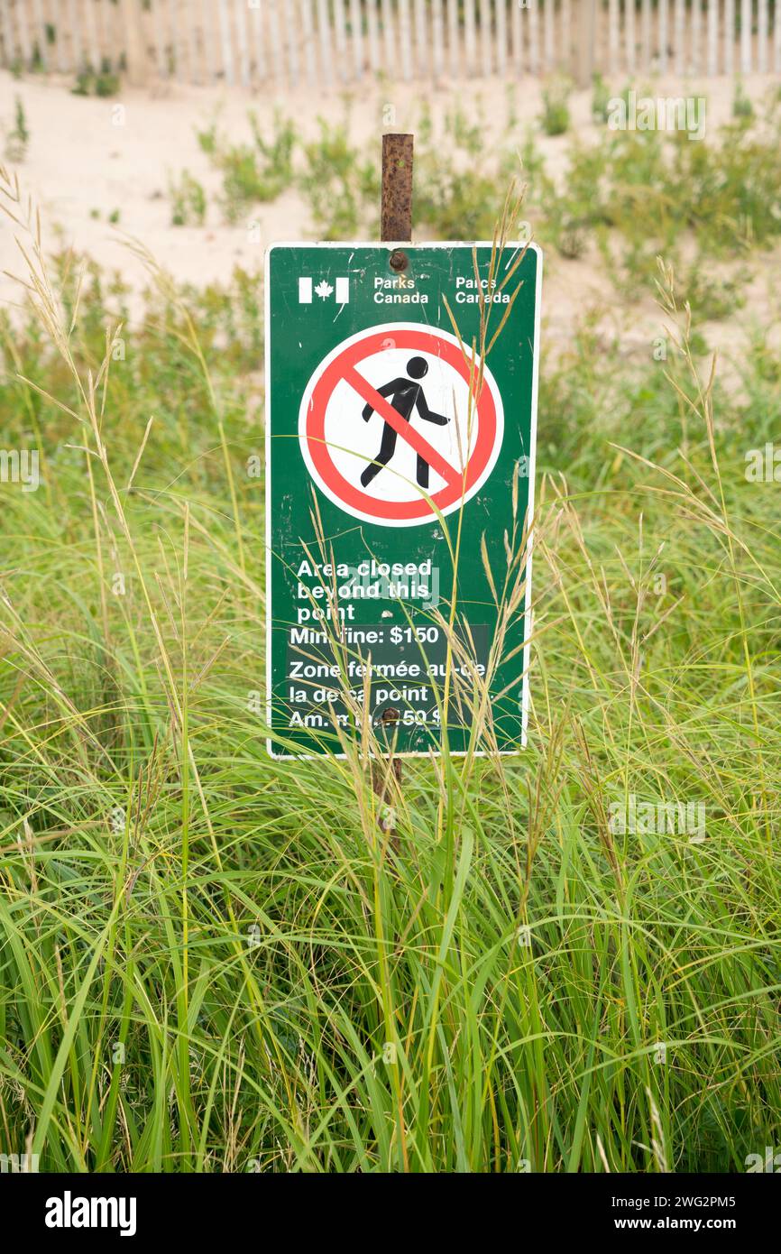 Panneau avertissant les gens de rester à l'écart de la zone des dunes pour protéger l'herbe de plage et prévenir l'érosion. Banque D'Images