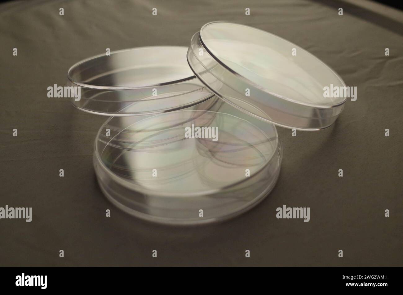 Boîtes de Petri en verre vides empilées sur une surface Banque D'Images