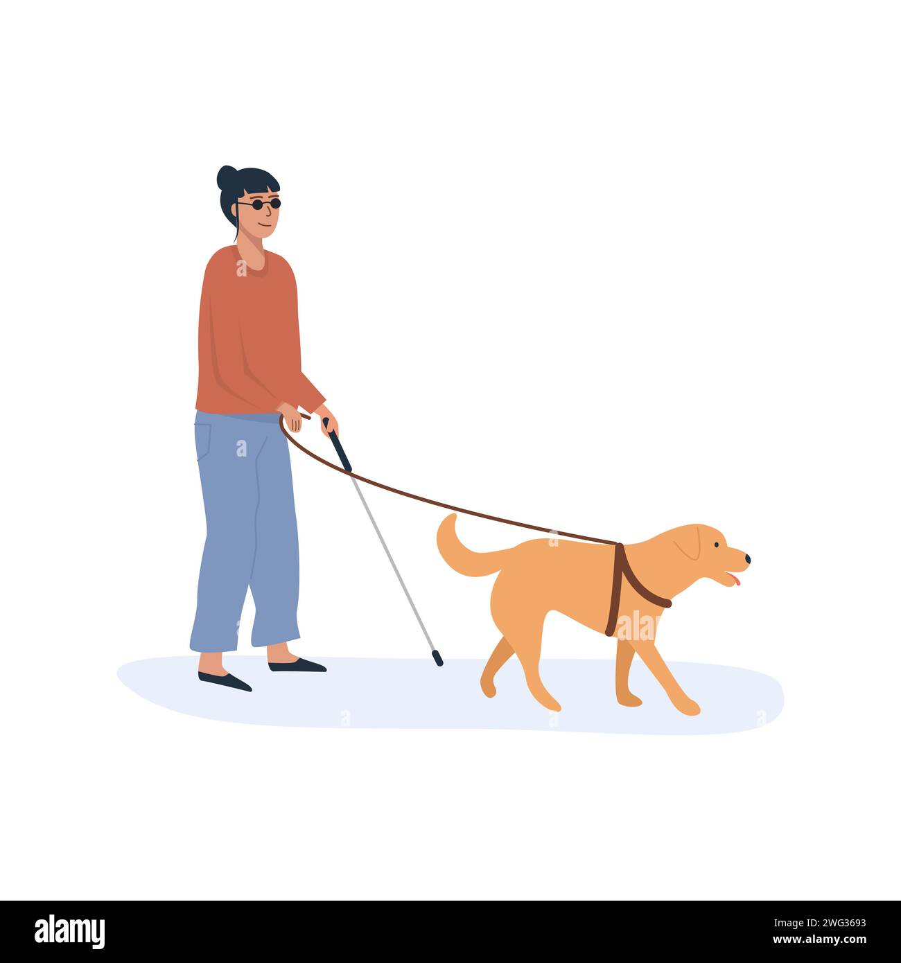 Un chien-guide avec une personne aveugle marchant ensemble. Femelle handicapée avec bâton de canne à l'aide du chien. Caractères de style plat. Illustration vectorielle Illustration de Vecteur