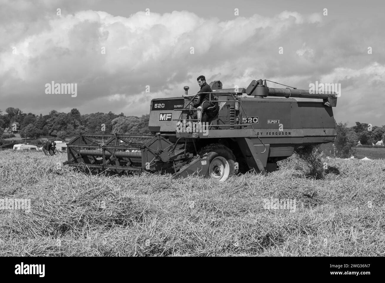 Drayton.Ilminster.Somerset.Royaume-Uni.19 août 2023.Une moissonneuse-batteuse Massey Ferguson 520 récolte du blé lors d'un événement agricole d'antan Banque D'Images