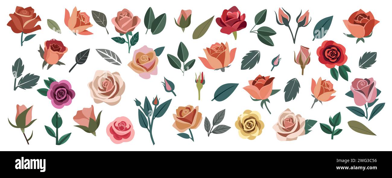 Ensemble de roses dessinées à la main et des éléments de conception de feuilles Illustration de Vecteur