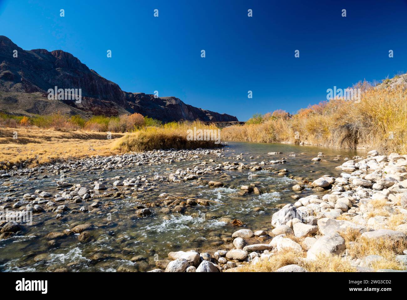 Accès à la rivière la Cuesta. Le long de la frontière, Big Bend Ranch State Park, Texas, États-Unis. Banque D'Images