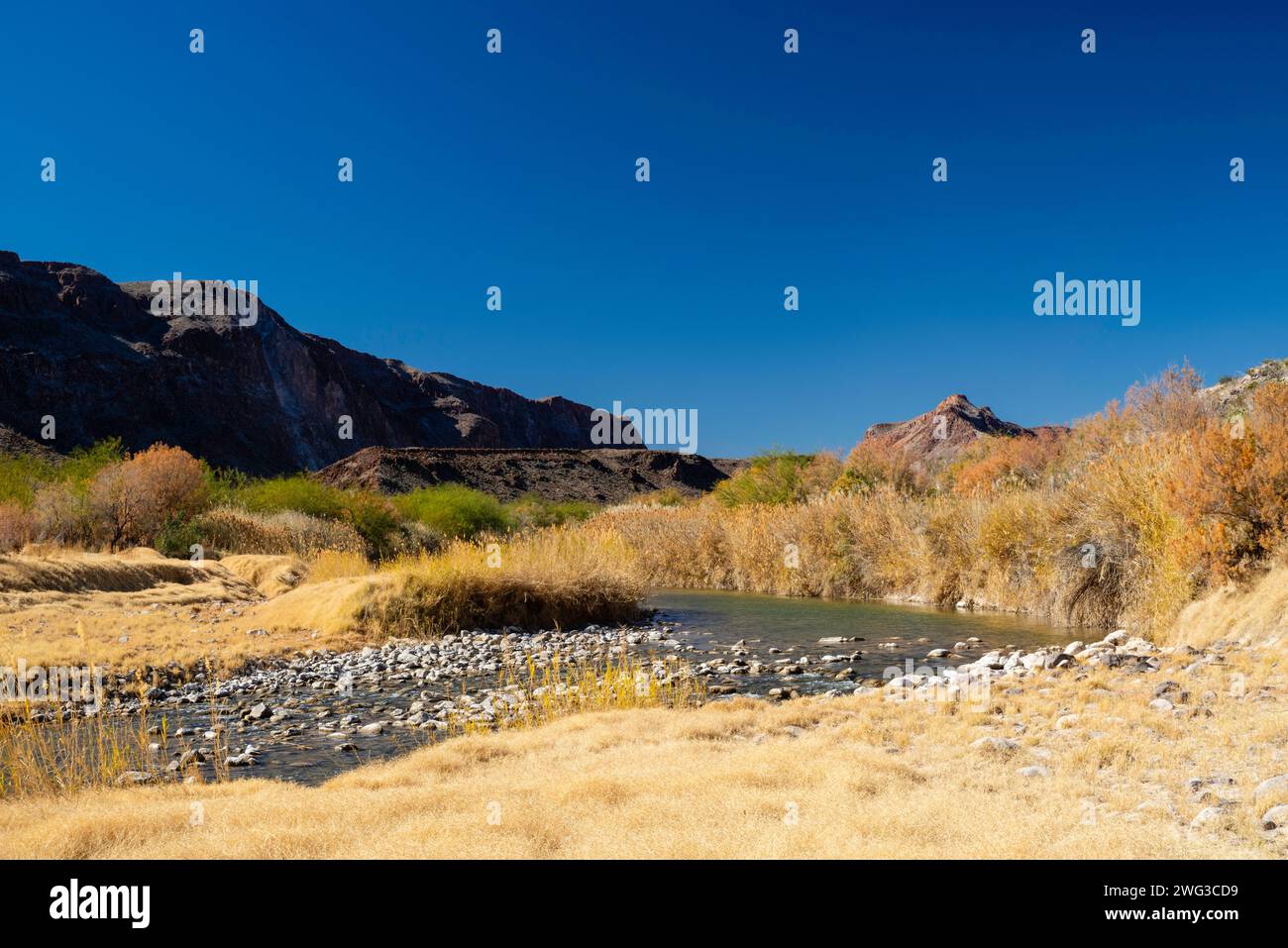 Accès à la rivière la Cuesta. Le long de la frontière, Big Bend Ranch State Park, Texas, États-Unis. Banque D'Images