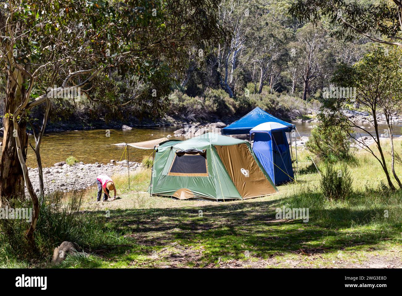 Australie, camping à côté de Snowy River, modèle relâché femme accroche des cordes de gars sur tente, parc national de Kosciusko, Nouvelle-Galles du Sud, 2024 Banque D'Images