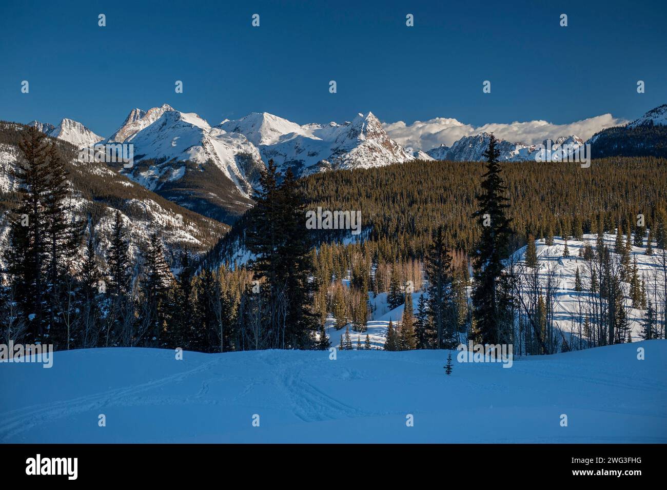 La chaîne de Grenadier des montagnes San Juan sur le côté ouest de Weminuche Wilderness dans le Colorado, vu de l'US Hwy 550 près du lac Molas. Banque D'Images