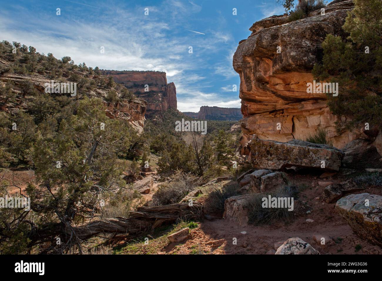 Le désert se lave sous l'embouchure du Devil's Canyon près de Fruita, Colorado Banque D'Images