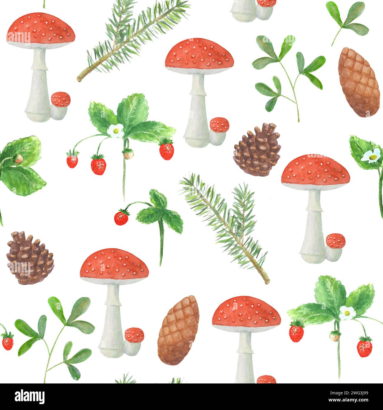 Motif sans couture avec champignons amanita, branches de pin, épicéa, fraises, cônes. Aquarelle illustration botanique dessinée à la main sur backgrou blanc Banque D'Images