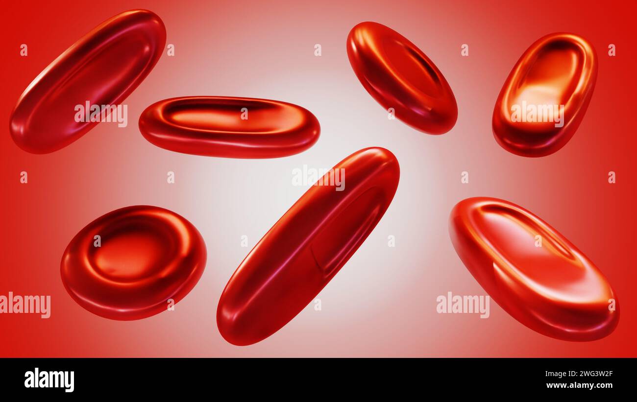 Rendu 3d des elliptocytes, également connus sous le nom d'ovalocytes ou cellules de cigare, sont des globules rouges de forme anormale qui apparaissent ovales ou allongés. Banque D'Images