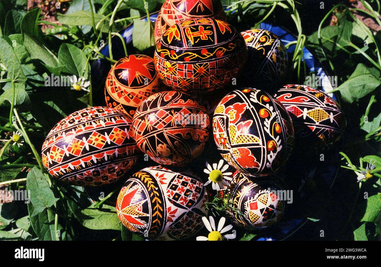 Oeufs de Pâques traditionnellement ornés en Roumanie, en utilisant la technique encaustique (gaufrage à la cire) Banque D'Images