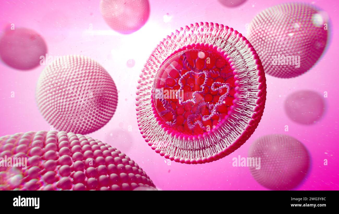 Liposome contenant de l'ADN, illustration Banque D'Images