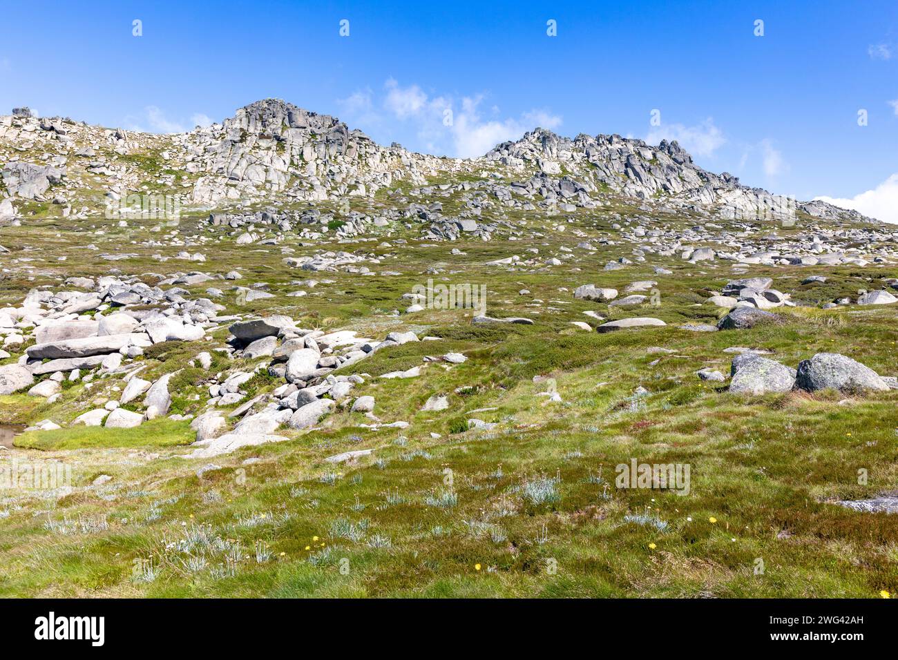 Paysage de montagnes enneigées dans le parc national de Kosciusko en Nouvelle-Galles du Sud, Australie, jour d'été, 2024 Banque D'Images