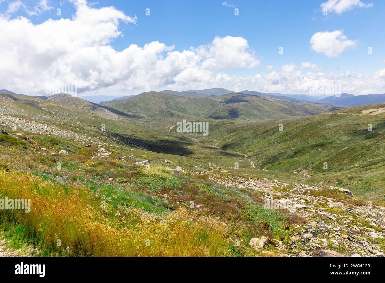 Paysage de montagnes enneigées dans le parc national de Kosciusko en Nouvelle-Galles du Sud, Australie, jour d'été, 2024 Banque D'Images