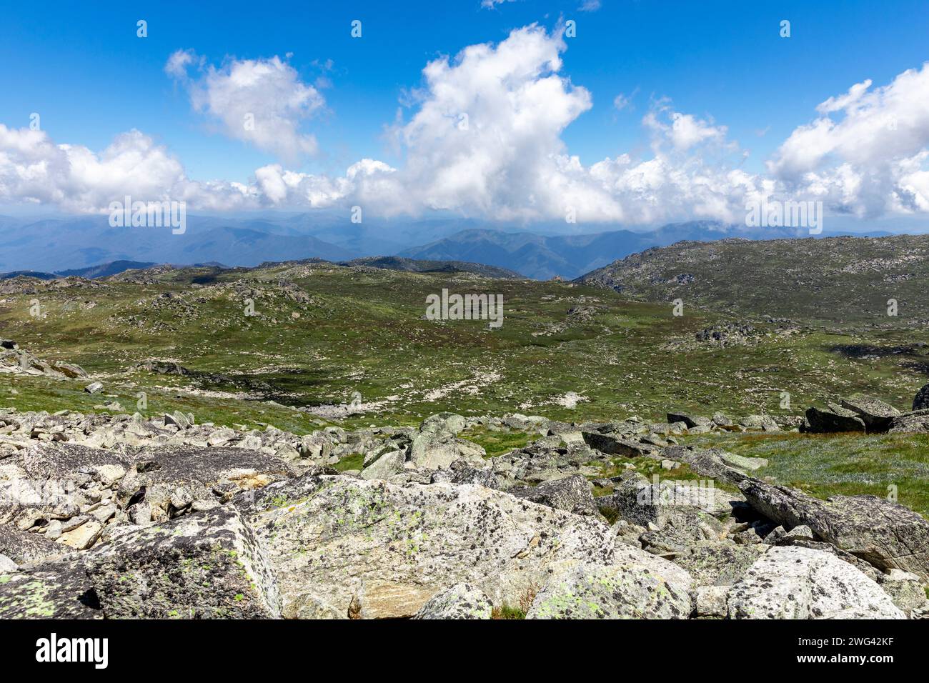 Paysage de montagnes enneigées dans le parc national de Kosciusko en Nouvelle-Galles du Sud, Australie, jour d'été, 2024 Banque D'Images