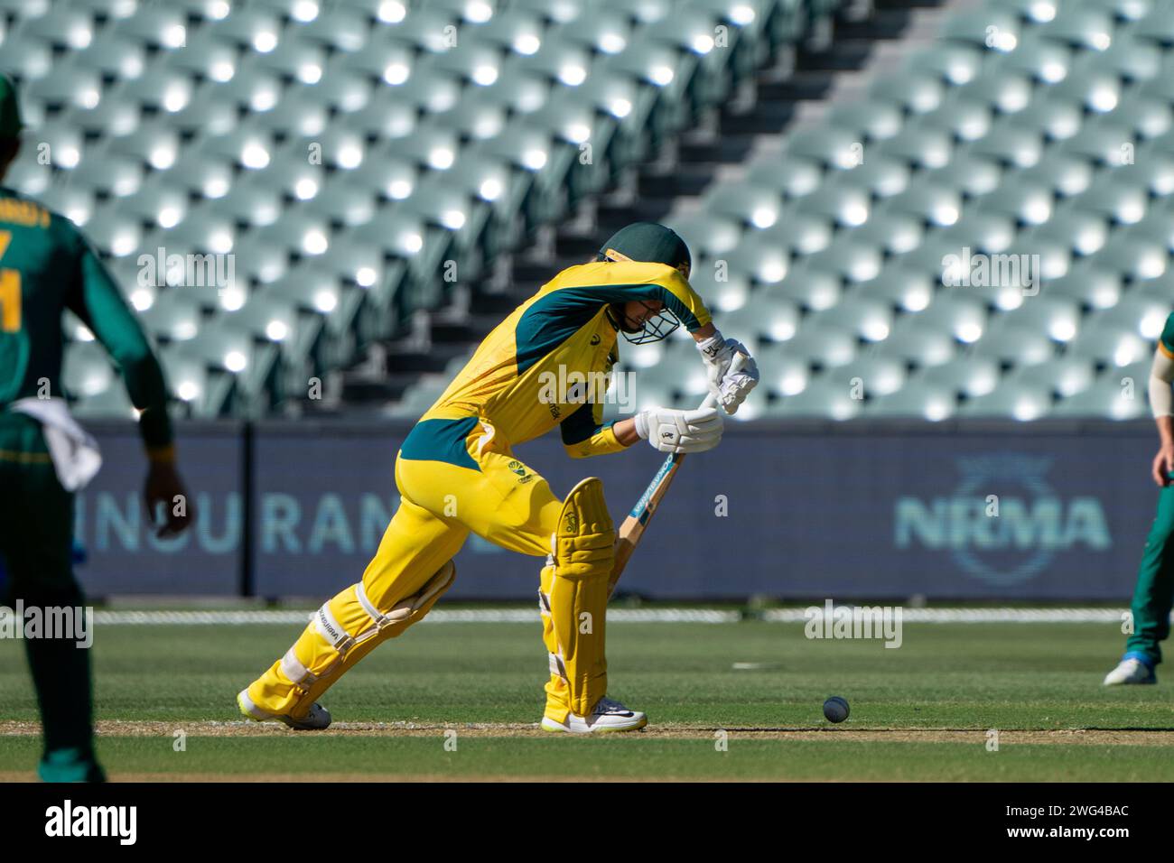 Adélaïde, Australie, 3 février 2024 : Phoebe Litchfield (18 Australie) bat lors du premier match international d’un jour de la CommBank ODI International Series entre l’Australie et l’Afrique du Sud à l’Adelaide Oval à Adélaïde, Australie (Noe Llamas / SPP) Banque D'Images