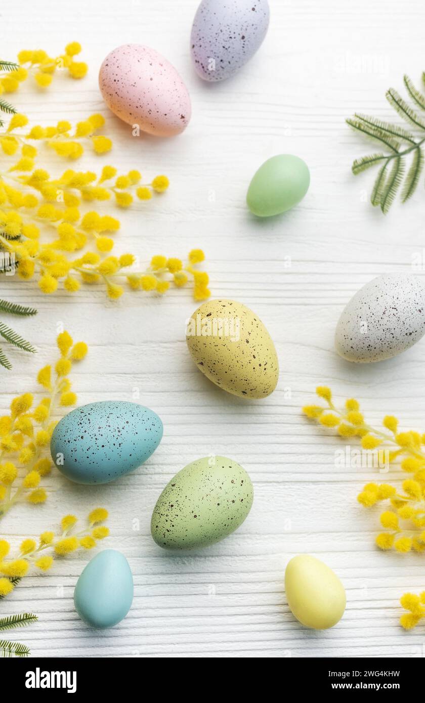 Oeufs de pâques colorés et fleurs de mimosa sur la table en bois. Vue de dessus avec espace de copie Banque D'Images