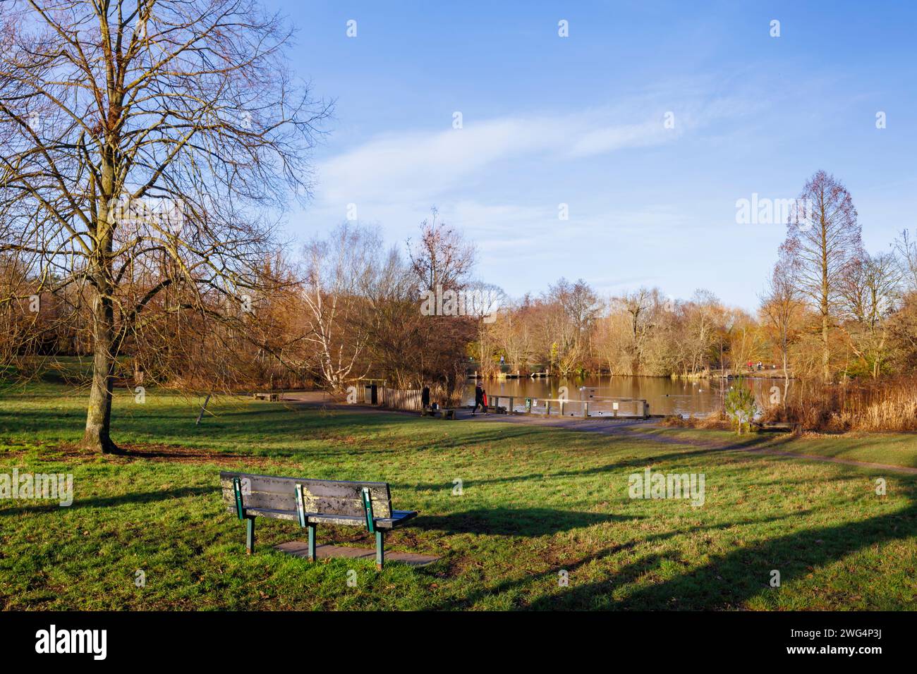 Un lac sur Wandsworth Common, une grande commune publique à Wandsworth, au sud-ouest de Londres, en Angleterre, en hiver par une journée ensoleillée avec de longues ombres de l'après-midi Banque D'Images