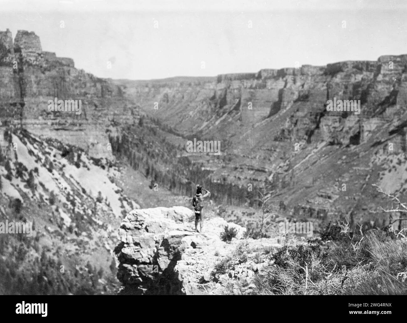 Noir CAñactivé, c1905. Vue arrière de Crow Indian, debout, surplombant CAñon. Banque D'Images Noir CAñactivé, c1905. Vue arrière de Crow Indian, debout, surplombant CAñon. Banque D'Images